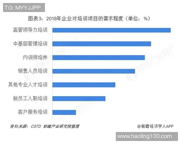 南京与上海排球队的耐力较量赛后深度分析与复盘